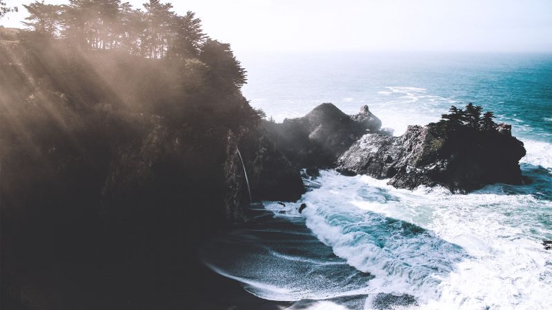 Salmon: Restaurant WordPress Theme